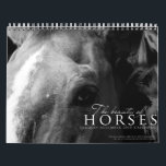 The Beauty of Horses Calendar<br><div class="desc">A calendar exhibiting my Equine Photography. Hope you guys like my photos!</div>