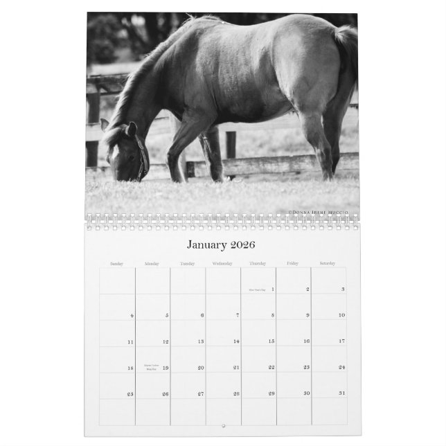 The Beauty of Horses Calendar (Jan 2026)