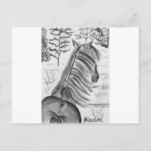 The Beauty of Horses No.1 Postcard