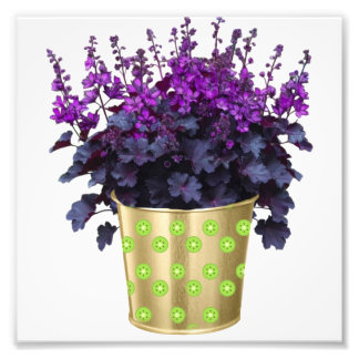 The Beauty of Houseplants and Flowers" Key Vocabu Photo Print