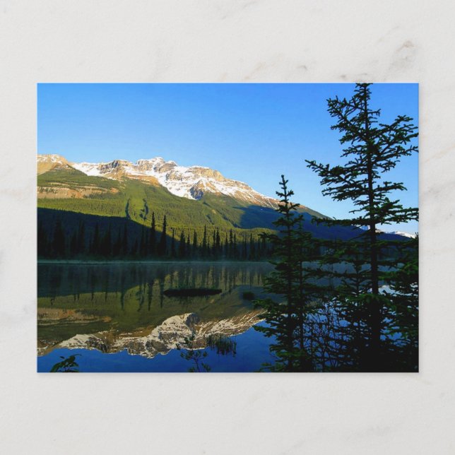 The Beauty of Mother Nature Postcard (Front)