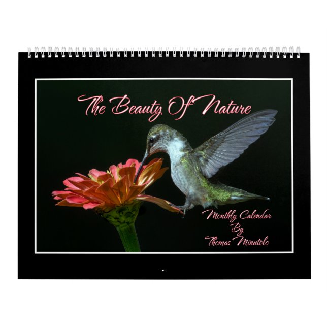 The Beauty Of Nature Monthly Calendar (Cover)
