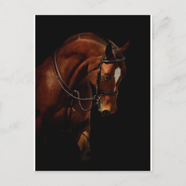 The Beauty Postcard (Front)