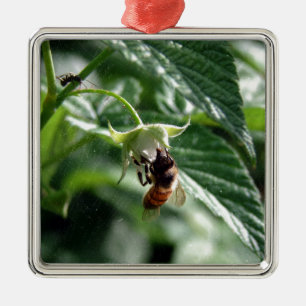 The Bee on the Raspberry Bush Metal Ornament