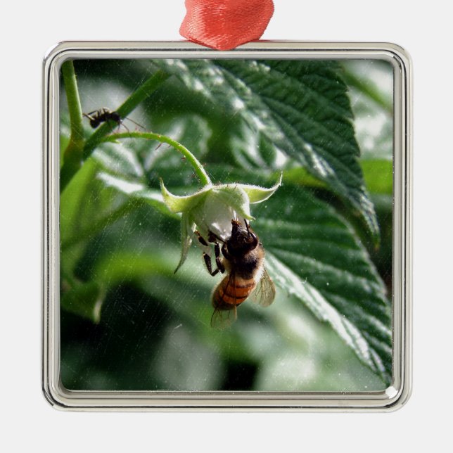 The Bee on the Raspberry Bush Metal Ornament (Front)