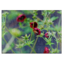 The Bee With the Red Flower