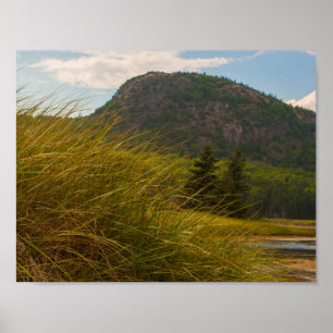 The Beehive, Acadia National Park, Maine Poster