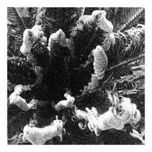 The Beginning Photo Print