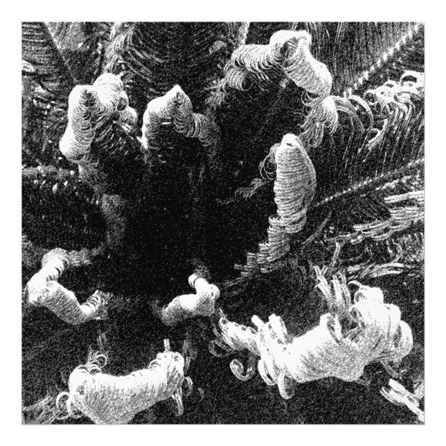 The Beginning Photo Print (Front)