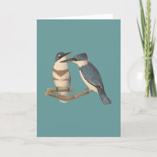The Belted Kingfisher (Alcedo alcyon) Card