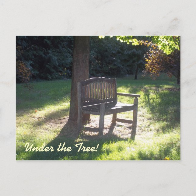 The Bench Postcard (Front)