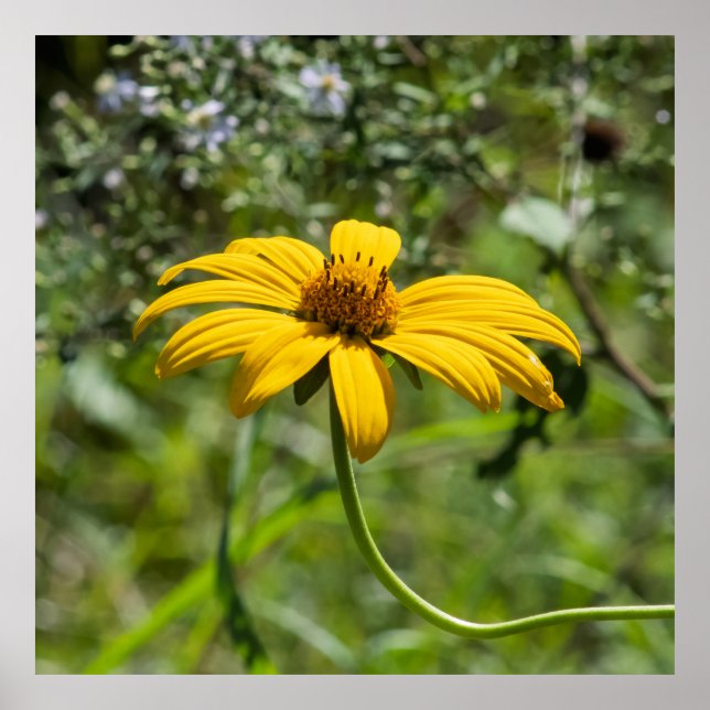 The Bend Floral Poster (Front)