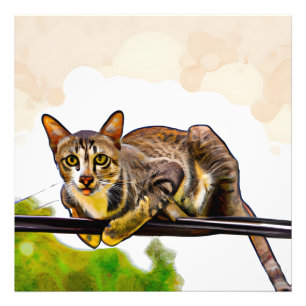 The bengal cat photo print