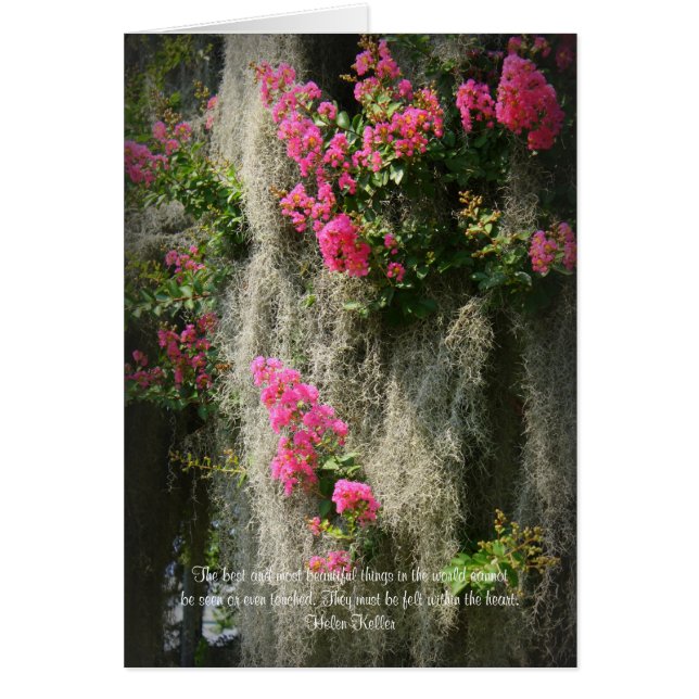 The best and most beautiful thing... (Front)