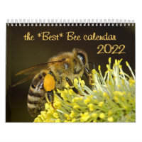The Best Bee Calendar 2020 w/Photos & Descriptions