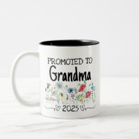 The Best Grandma Get Promoted Est 2025