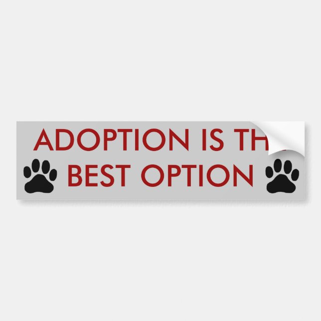 "The Best Option" Bumper Sticker (Front)