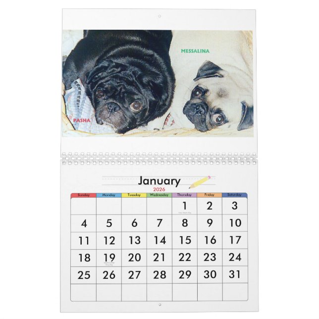THE BEST PUGS IN THE WORLD CALENDAR (Jan 2026)