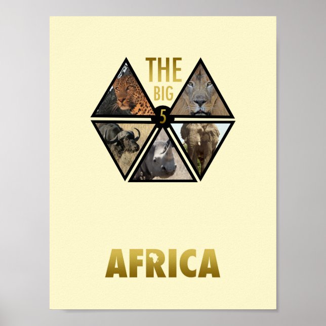 The Big 5 Africa 11" x 8.5" Poster (Front)