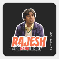 The Big Bang Theory | Rajesh