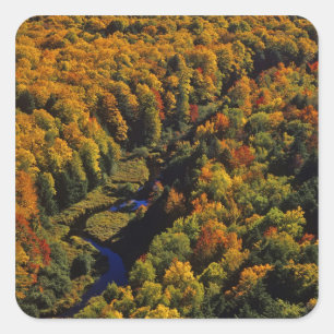 The Big Carp River in autumn at Porcupine Square Sticker