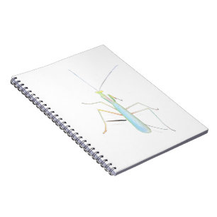 The Big Mantis Notebook