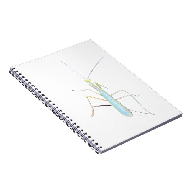 The Big Mantis  Notebook (Right Side)