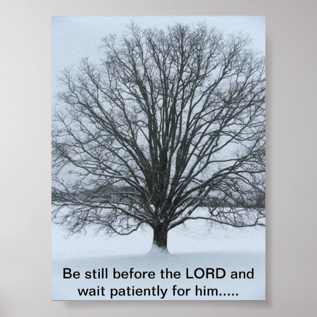 The big Oak Tree Poster (Front)