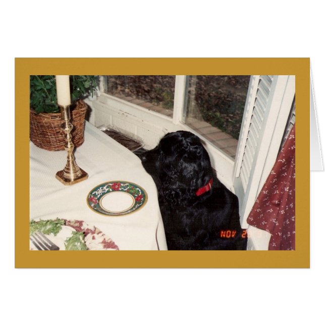 the big piece o chicken (Front Horizontal)