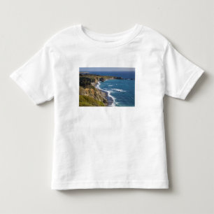 The Big Sur coastline in California, USA Toddler T-Shirt