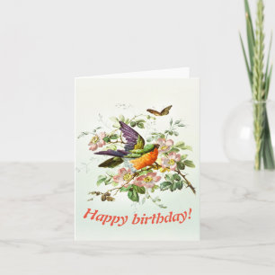 The bird and the butterfly, Birthday Card