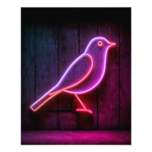 The Bird Photo Print