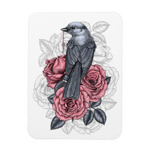 The bird with the silver key magnet
