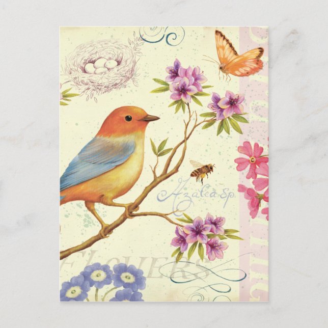 The Birds and the Bees Postcard (Front)