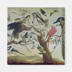 The Bird's Concert Magnet