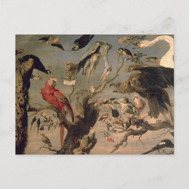 The Bird's Concert Postcard (Front)
