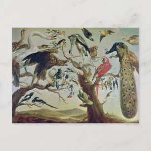 The Bird's Concert Postcard