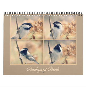 The Birds in Your Backyard Calendar