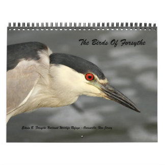 The Birds of Forsythe - Official Refuge Calendar