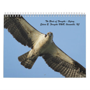 The Birds of Forsythe - Osprey Calendar