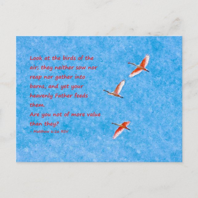 The Birds of the Air- Matthew 6:26 Postcard (Front)