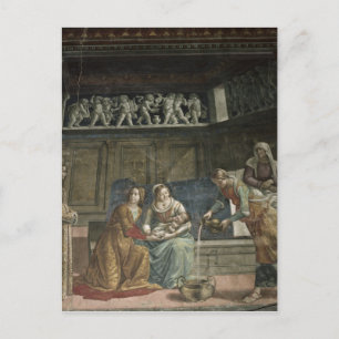 The Birth of the Virgin, 1485-90 Postcard