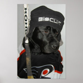 The Black Biscuit Flyers Poster