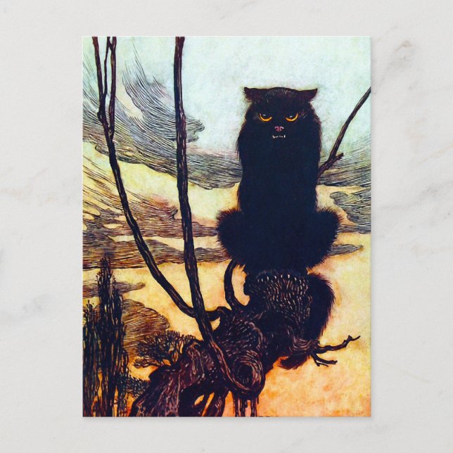 The Black Cat Postcard (Front)