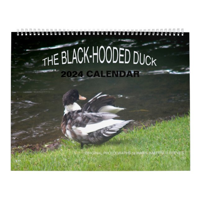 THE BLACK-HOODED DUCK 2024 CALENDAR (Cover)