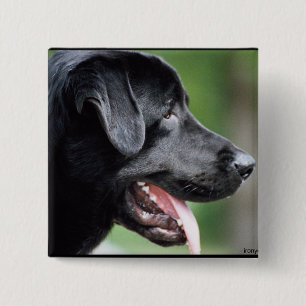 The Black Labrador 15 Cm Square Badge