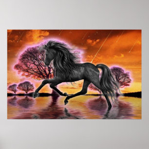 The Black Stallion .. fantasy image.. Poster