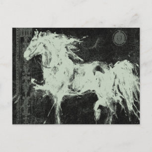 The Black Stallion ~ Postcard