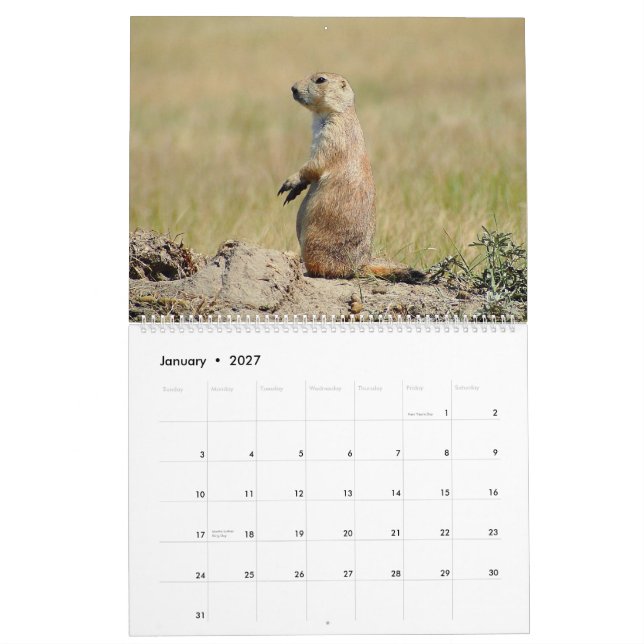 The Black-tailed Prairie Dog 2015 Calendar (Jan 2027)