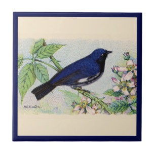 The Black-Throated Blue Warbler Bird Ceramic Tile